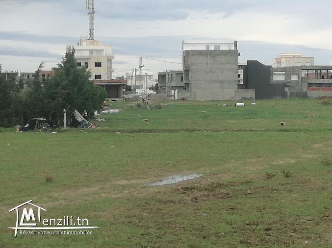 terrain en face salle couverte kelibia