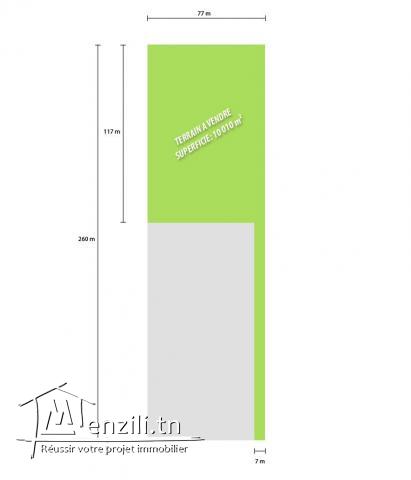 OCCASION EN OR TERRAIN DE 1 HECTARE