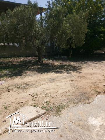 A vendre une maison sis a béni wael Nabeul  400 m