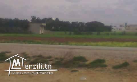 Terrain à vendre de 800m2