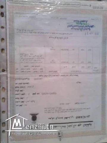 Terrain à vendre de 800m2