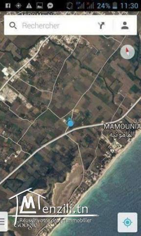 Terrain à vendre de 800m2