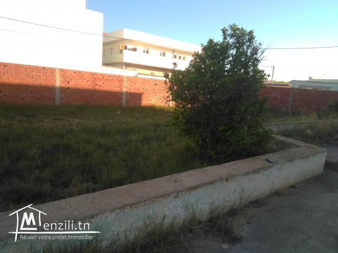 فرصة لباعثي المشاريع العقارية