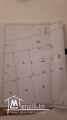 Vente d'un terrain aménagé et avec titre à Mnihla