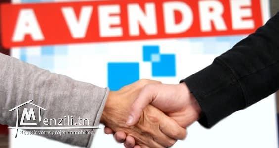 un terrain à vendre à kélibia la blanche 50522361