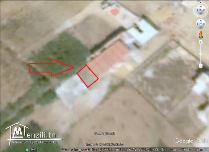 un terrain à vendre à kélibia la blanche 50522361