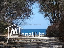 un terrain à vendre à kérkwen 50522361