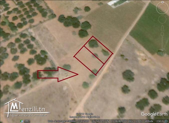 un terrain à vendre à ezzahra 50522361