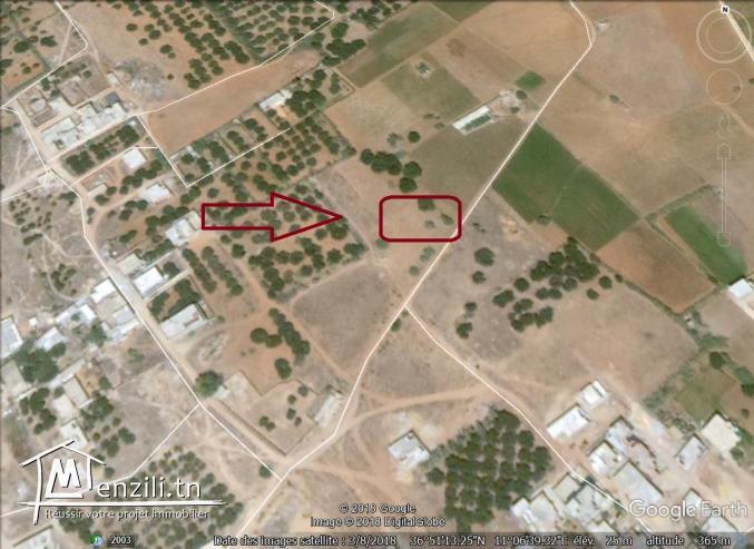 un terrain à vendre à ezzahra 50522361