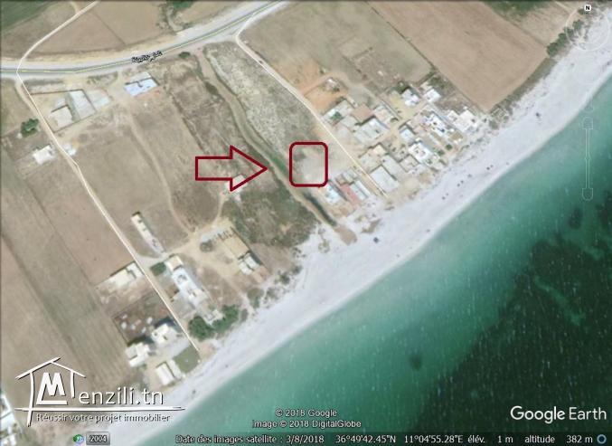 un terrain à vendre à kélibia ain grenz 50522361