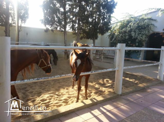 sybDVK3 Domaine à vendre à Grombalia