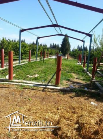 sybDVK3 Domaine à vendre à Grombalia