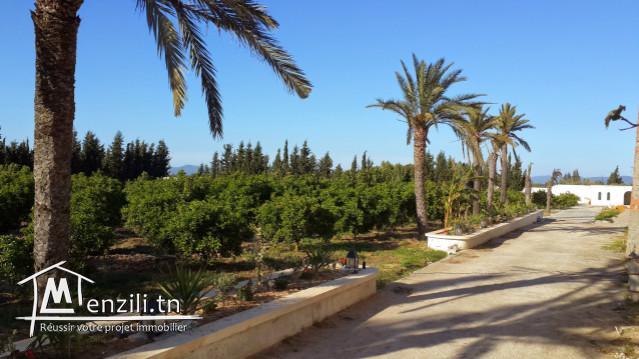 sybDVK3 Domaine à vendre à Grombalia