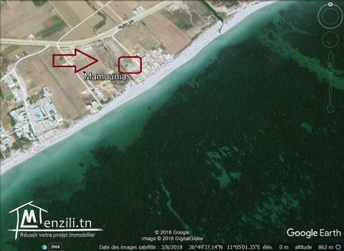 un terrain à vendre à kélibia ain grenz 50522361