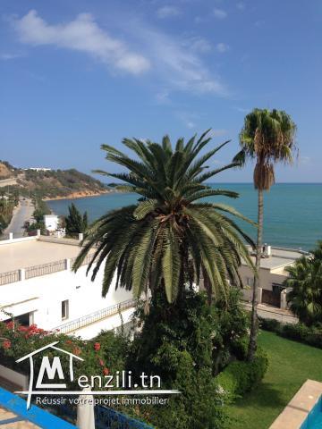 sybVLS14villa de maitre