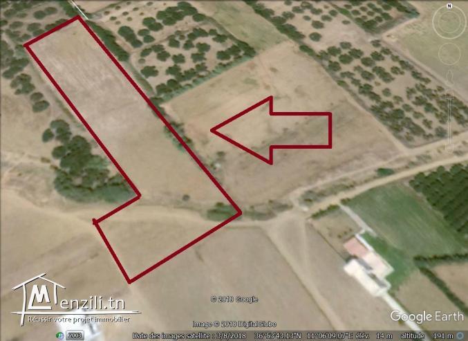 un terrain à vendre à ezzahra 50522361