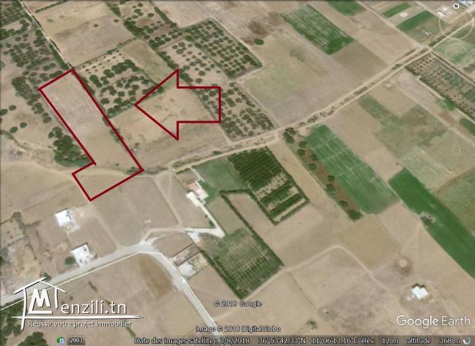 un terrain à vendre à ezzahra 50522361