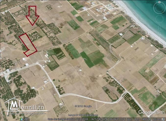 un terrain à vendre à  ezzahra 50522361