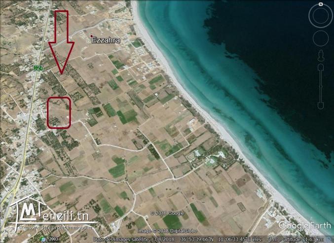 un terrain à vendre à  ezzahra 50522361