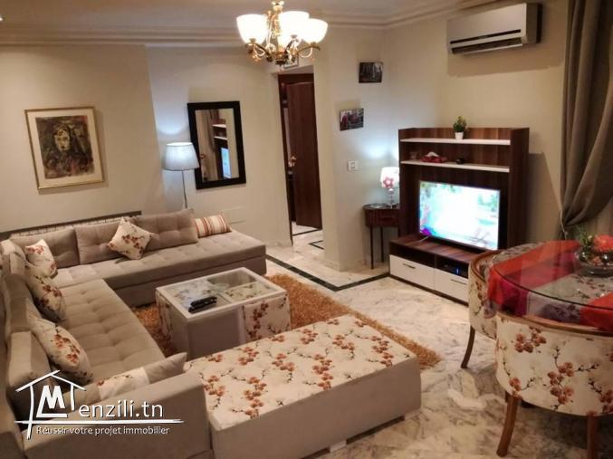 s+1 meublé par nuitée