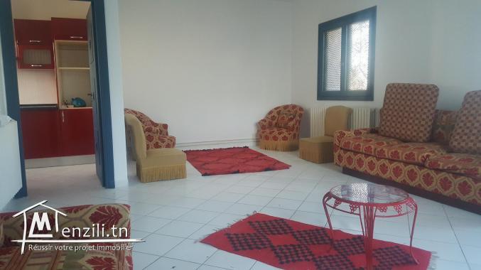 duplex a louer au golden tulipe