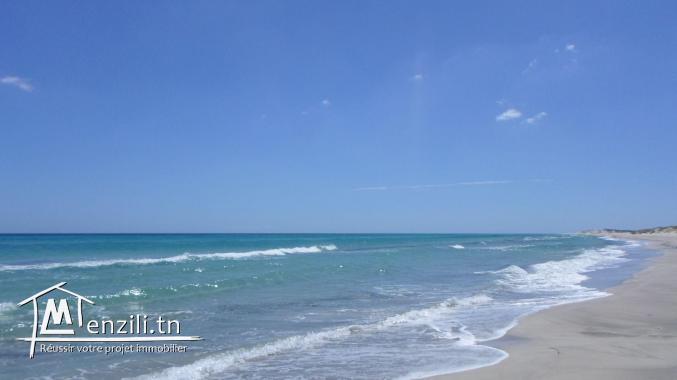 terrain vue sur mer a la plage ain grinz