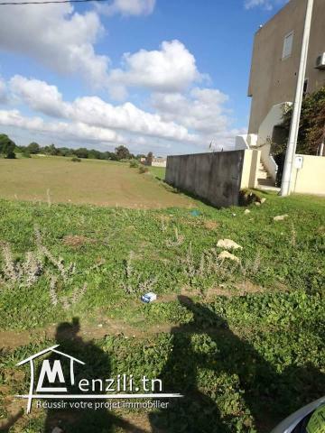 terrain a vendre sur la route principale a la plage ain grinz