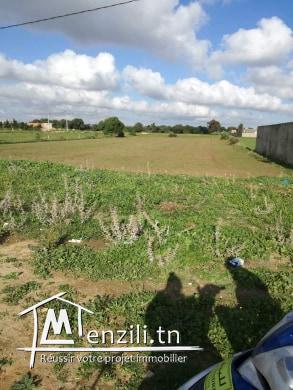 terrain a vendre sur la route principale a la plage ain grinz