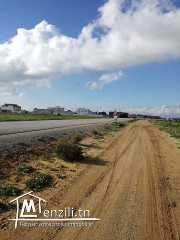 terrain a vendre sur la route principale a la plage ain grinz