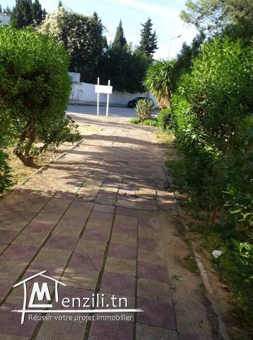 Spacieux appartement de 200 m2 pour habitation ou usage bureaux