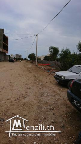 une maison à vendre à kélibia 50522361