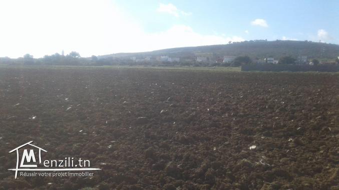 terrain a vendre 5 minute a la plage zahra kelibia