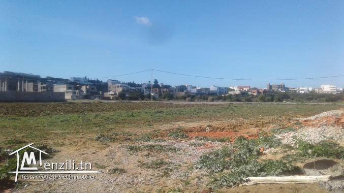 terrain a vendre 5 minute a la plage zahra kelibia