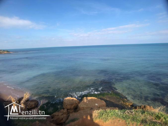 terrain pied dans l'eau