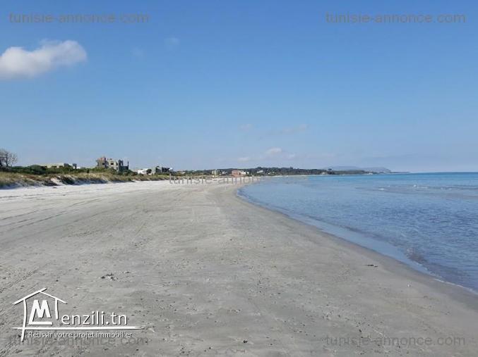 terrain sur la route a la plage hammem jabli