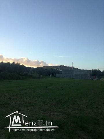 terrain sur la route a la plage hammem jabli
