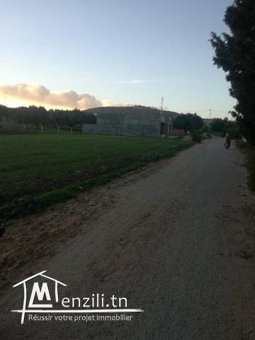 terrain sur la route a la plage hammem jabli