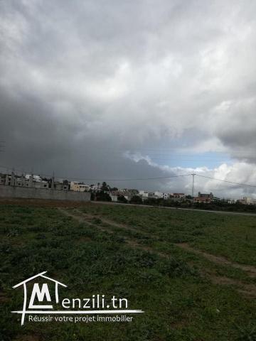 terrain route a la plage zahra 5miunte a pied