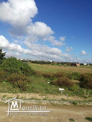 terrain sur la route principale a la plage ain grinz