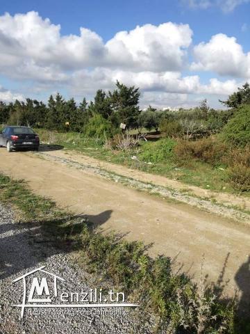 terrain sur la route principale a la plage ain grinz