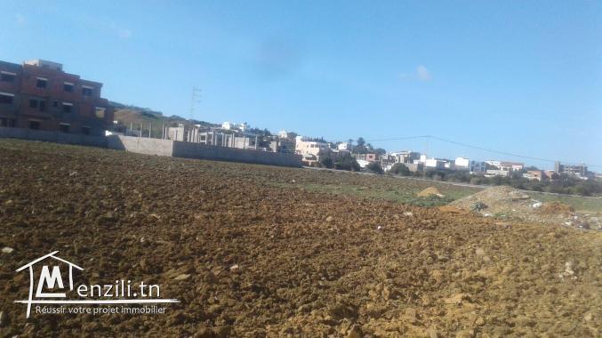 terrain sur la route a la plage zahra kelibia