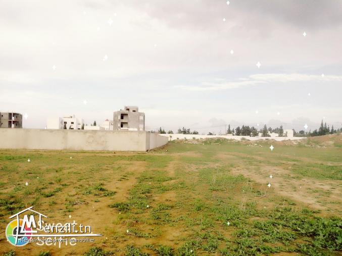 terrain hammamet sud