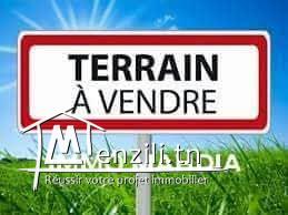 Terrain à vendre
