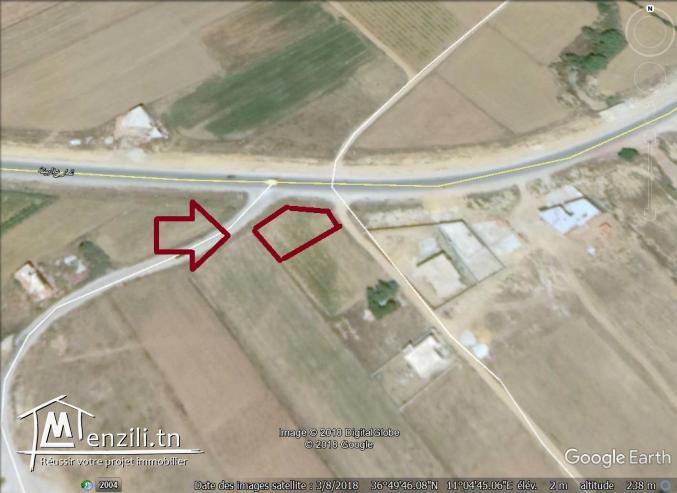 un terrain à vendre à kélibia 50522361