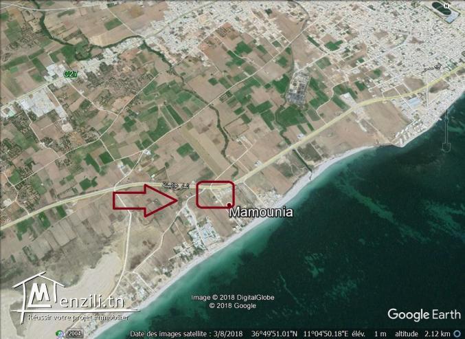 un terrain à vendre à kélibia 50522361