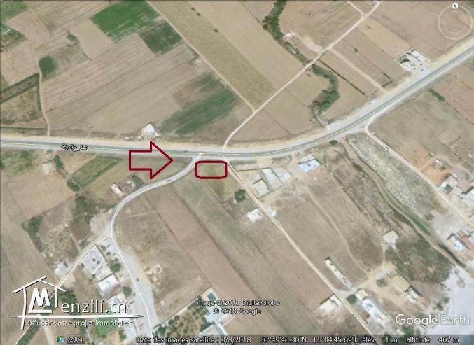 un terrain à vendre à kélibia 50522361