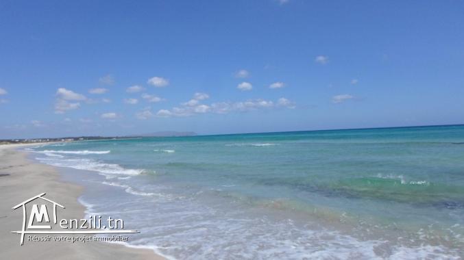 terrain sur la route 300m a la plage hammem jabli