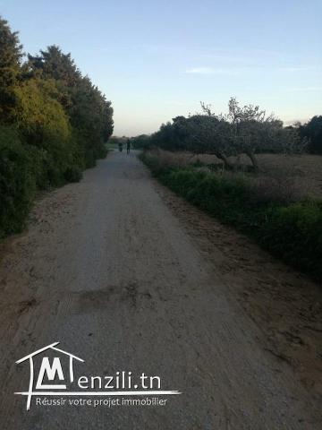 terrain sur la route 300m a la plage hammem jabli