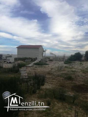 terrain au bord de la mer a la plage ain grinz