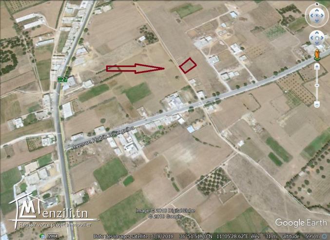 terrain a vendre entre kélibia et hammem ghzez 50522361